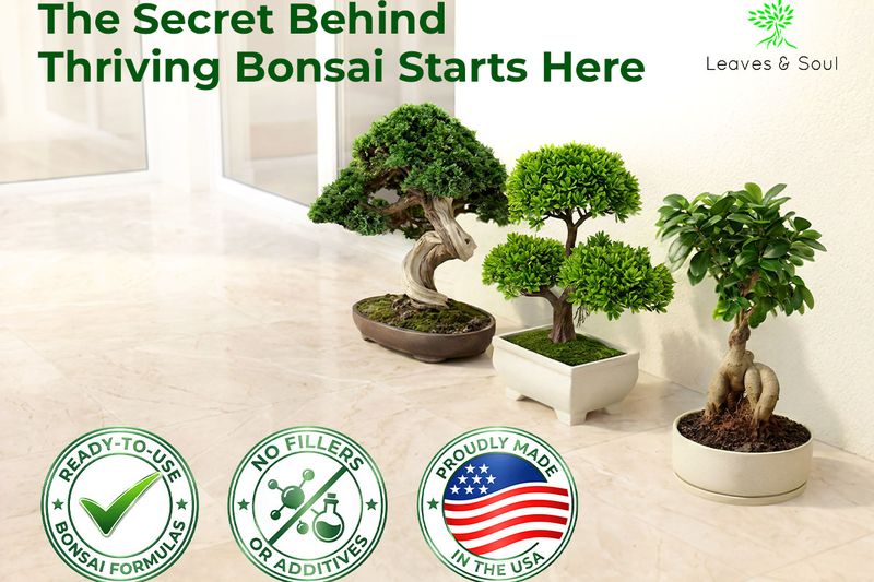Leaves and Soul: Bonsai A+ module
