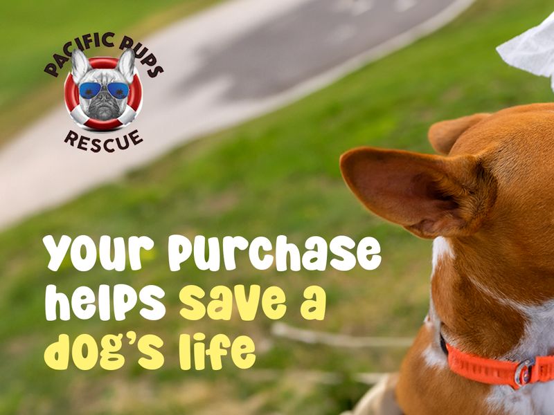 Section · The rescue story