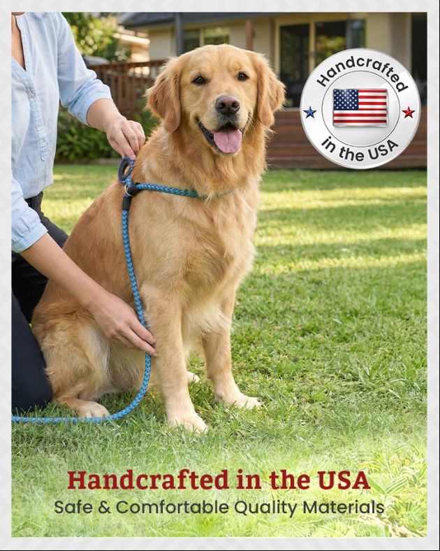 Harness Lead craftsmanship