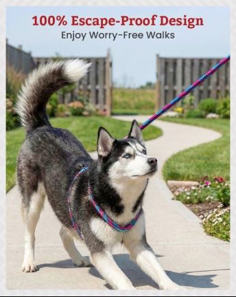 Harness Lead module 3