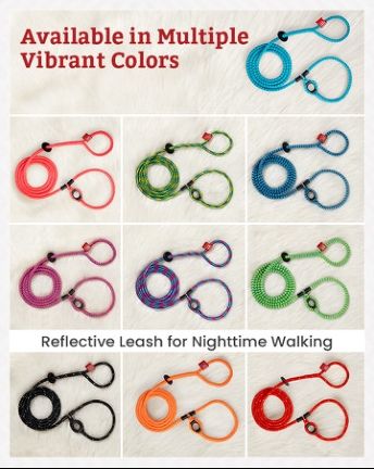 Harness Lead module 5